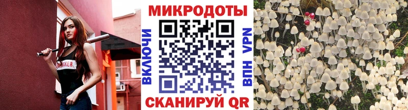 Псилоцибиновые грибы ЛСД закладка Владимир